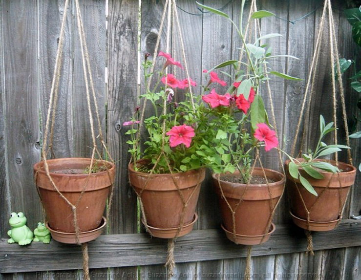 My Patio Garden III 01d