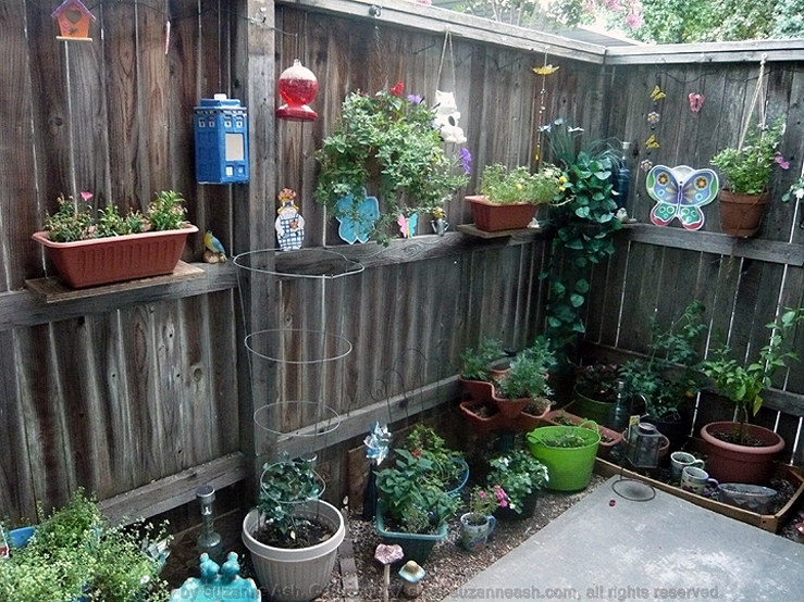 My Patio Garden III 02