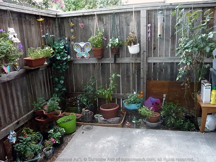 My Patio Garden III 03