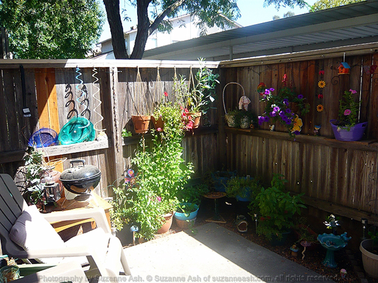 My Patio Garden in August - Left Side